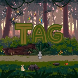 Tag