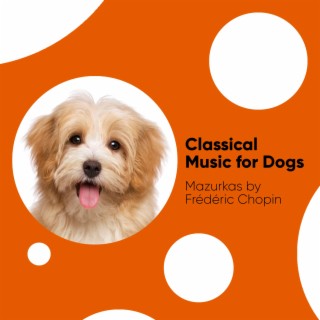 Classical Music for Dogs: Mazurkas by Frédéric Chopin