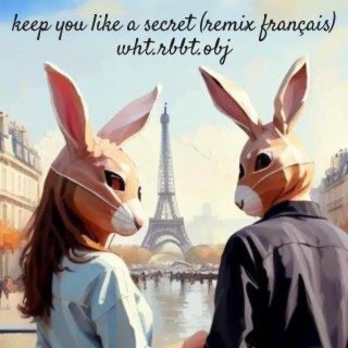 Keep You Like A Secret (Remix Français) lyrics | Boomplay Music