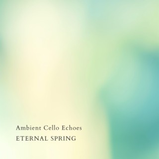 Ambient Cello Echoes