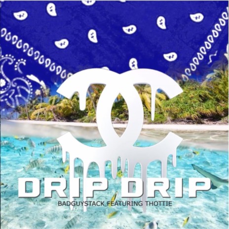 Drip Drip ft. Jah Thottie | Boomplay Music