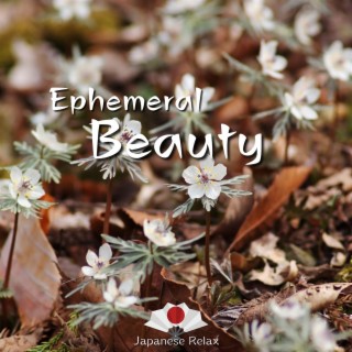 Ephemeral Beauty - Musical Blooms of Serenity