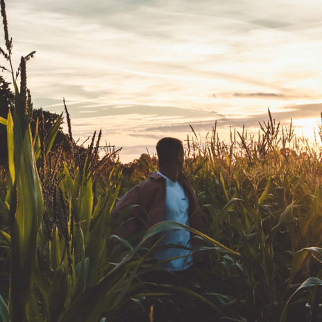 Morgengrauen | Boomplay Music