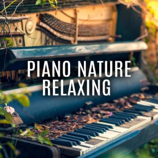 Piano Nature Relaxing