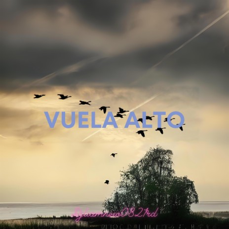 Vuela Alto | Boomplay Music