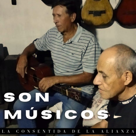 Son Músicos | Boomplay Music