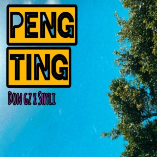 Peng ting ft. $hyli lyrics | Boomplay Music