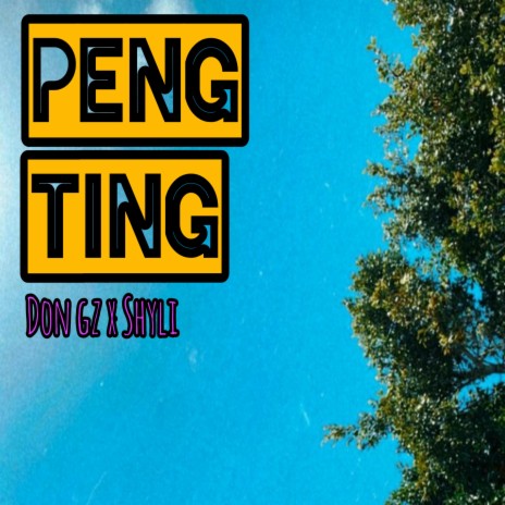 Peng ting ft. $hyli | Boomplay Music