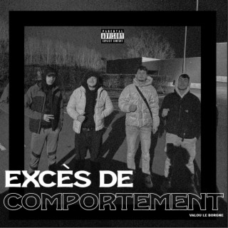 Excès de comportement