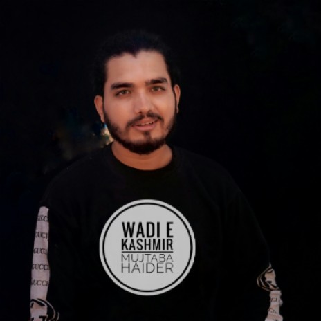 Wadi E Kashmir | Boomplay Music