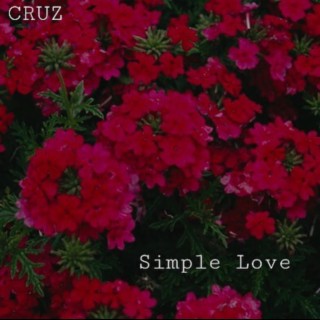 Simple Love lyrics | Boomplay Music