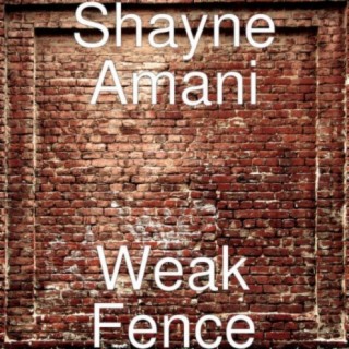 Shayne Amani