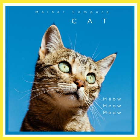 Cat | Boomplay Music