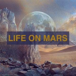 Life On Mars