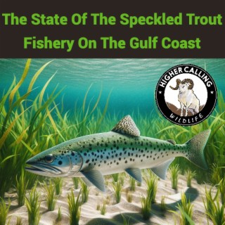 The State Of The Spotted Seatrout Fishery