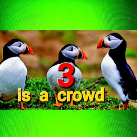 THREE IS A CROWD