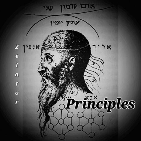 PRINCIPLES | Boomplay Music