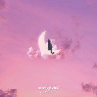 stargazin'