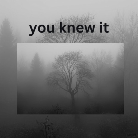 You Knew It | Boomplay Music