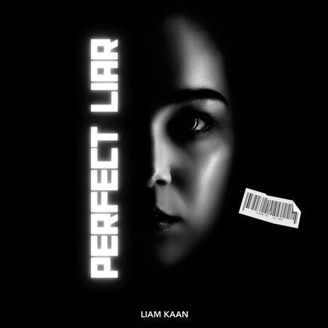 Perfect Liar | Boomplay Music