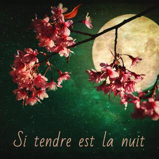 Si tendre est la nuit