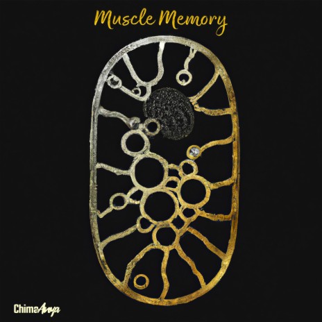 Muscle Memory | Boomplay Music