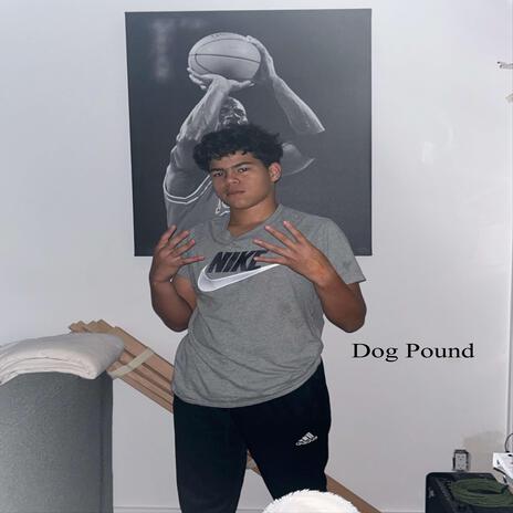 Dog Pound | Boomplay Music