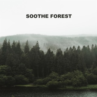 Soothe Forest