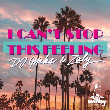 I Can't Stop This Feeling ft. Züly