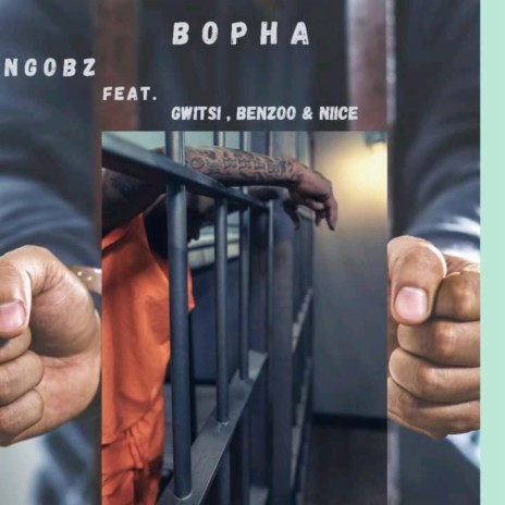 Bopha ft. Benzoo, Gwiitsi & Niice | Boomplay Music
