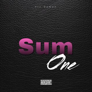 Sum-One