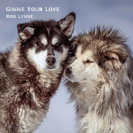 Gimme Your Love | Boomplay Music