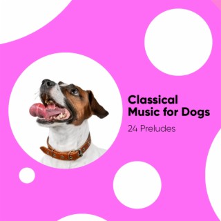 Classical Music for Dogs: 24 Preludes