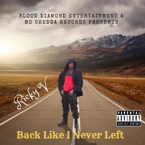 Back Like I Never Left | Boomplay Music