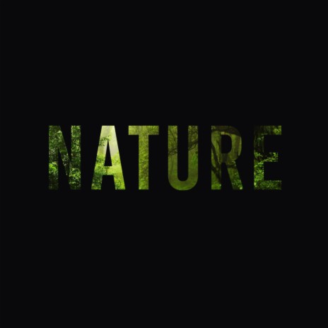 White Noise ft. Nature Sound Collection