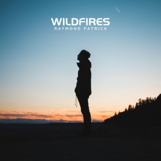 Wildfires lyrics | Boomplay Music