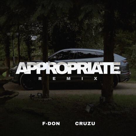 Appropriate (Remix) ft. F-Don | Boomplay Music