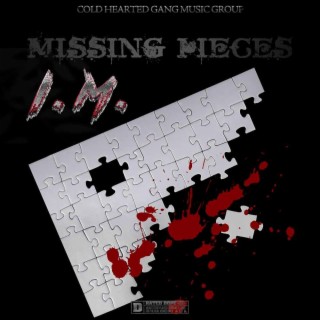 MISSING PIECES