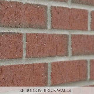 Episode 19: Brick Walls