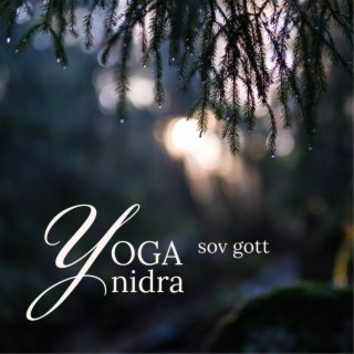 Yoga nidra sov gott