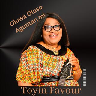 Oluwa Oluso Aguntan mi