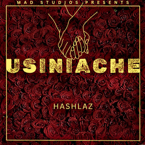 Usiniache ft. Hashlaz