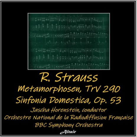 Sinfonia Domestica, Op. 53: III. Wiegenlied. Mäßig langsam (Live)