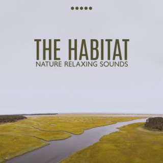 The Habitat: Nature Relaxing Sounds