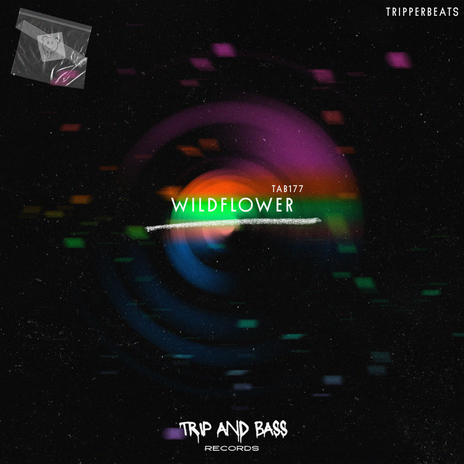 WILDFLOWER - DnB | Boomplay Music