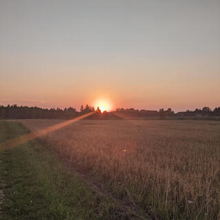 Summer Evening Nostalgia