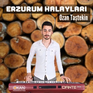 Ozan Taştekin - Erzurum Halayları