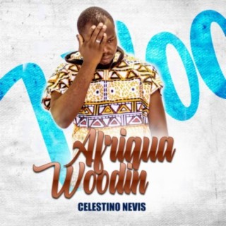 Afriqua woodin