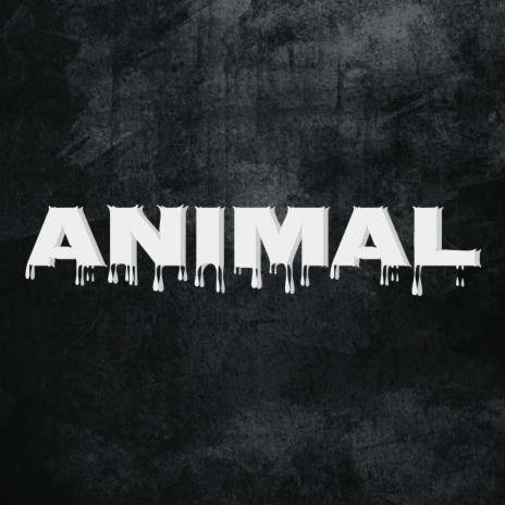 Animal | Boomplay Music