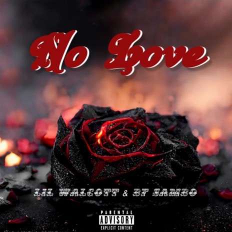 No Love (feat. BF Sambo)